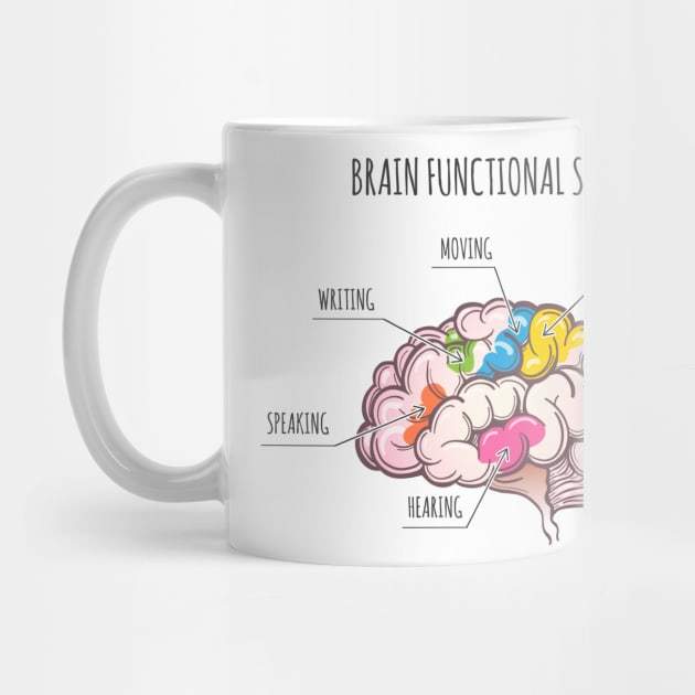 Human Brain Functional Scheme. by devaleta